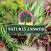 Natures Answer Astragalus Root 30ml