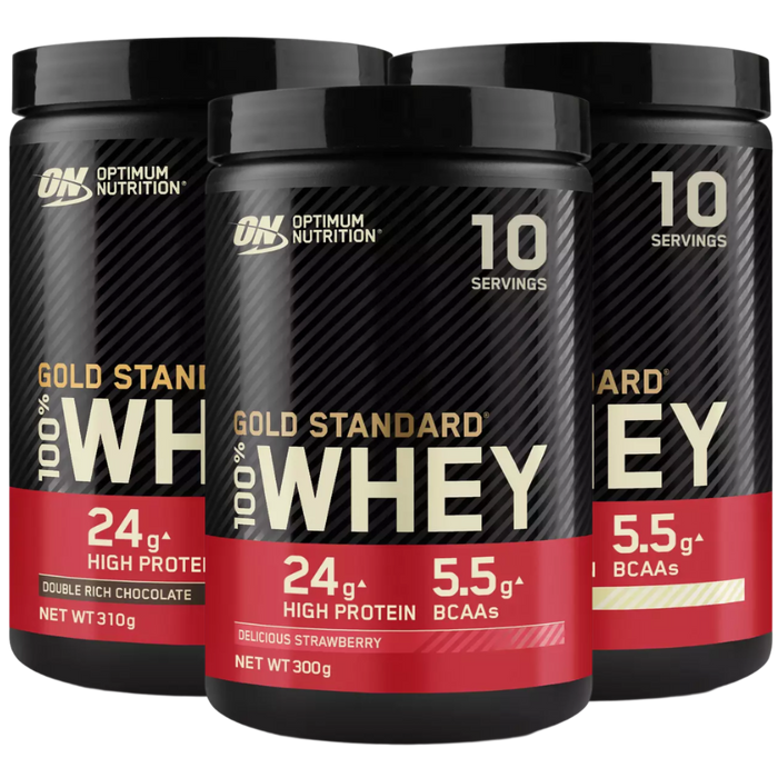 Optimum Nutrition Gold Standard 100 % Whey 310 g doppelt reichhaltige Schokolade