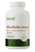 OstroVit Rhodiola Rosea 120 tablets
