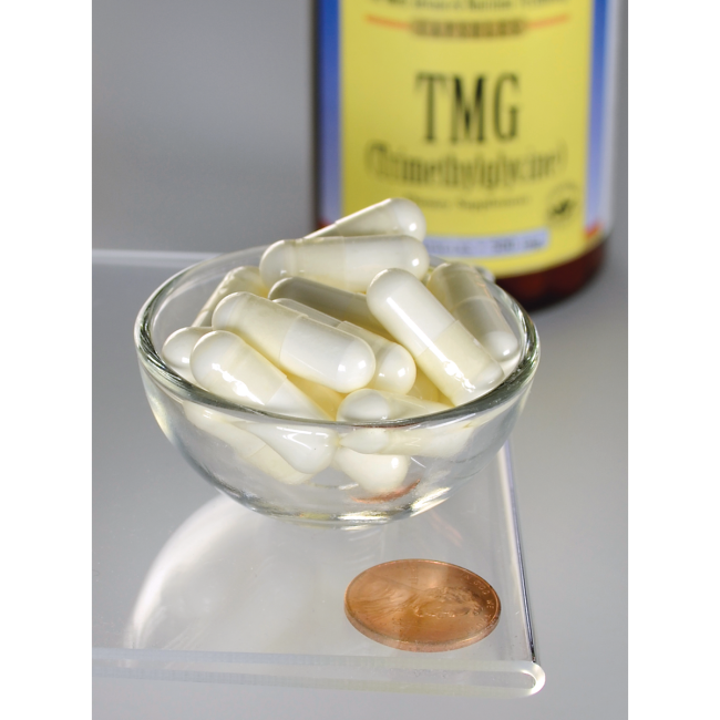 Swanson TMG (Trimethylglycine), 500mg - 90 caps