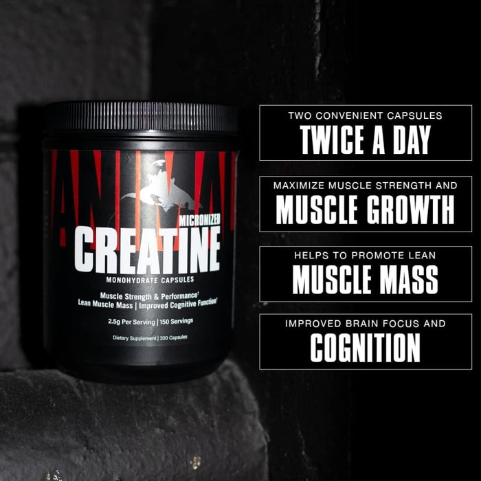 Animal Creatine Caps - 300 Capsules - Creatine Capsules at MySupplementShop by Animal